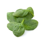 baby_spinach_1332428030